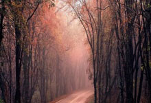 烈焰腾腾，信仰不灭：导火索足球俱乐部，用热血点燃晋级之路！