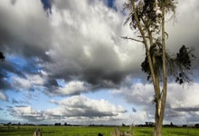 烈焰腾腾，信仰不灭：导火索足球俱乐部，用热血点燃晋级之路！