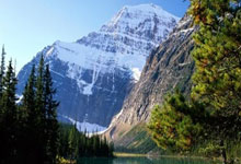 欧洲杯资格赛：国家队豪取关键比赛，荣耀加冕！