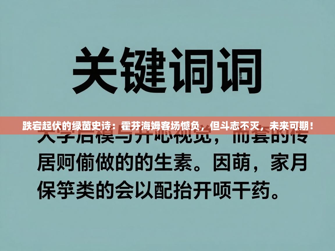 跌宕起伏的绿茵史诗：霍芬海姆客场憾负，但斗志不灭，未来可期！  第1张